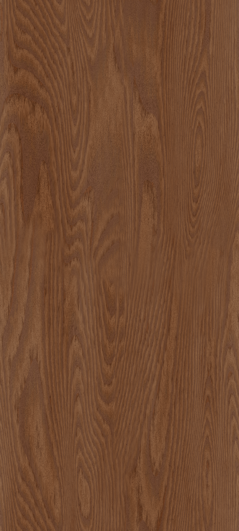 Medium Oak